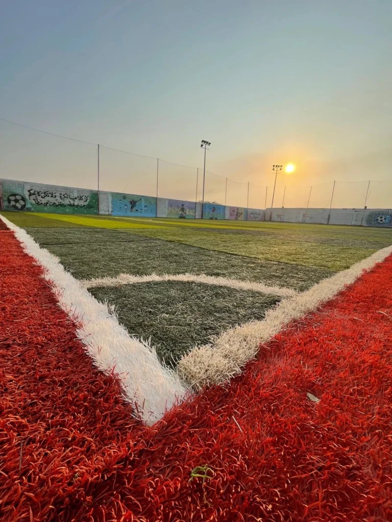 Sports fields project