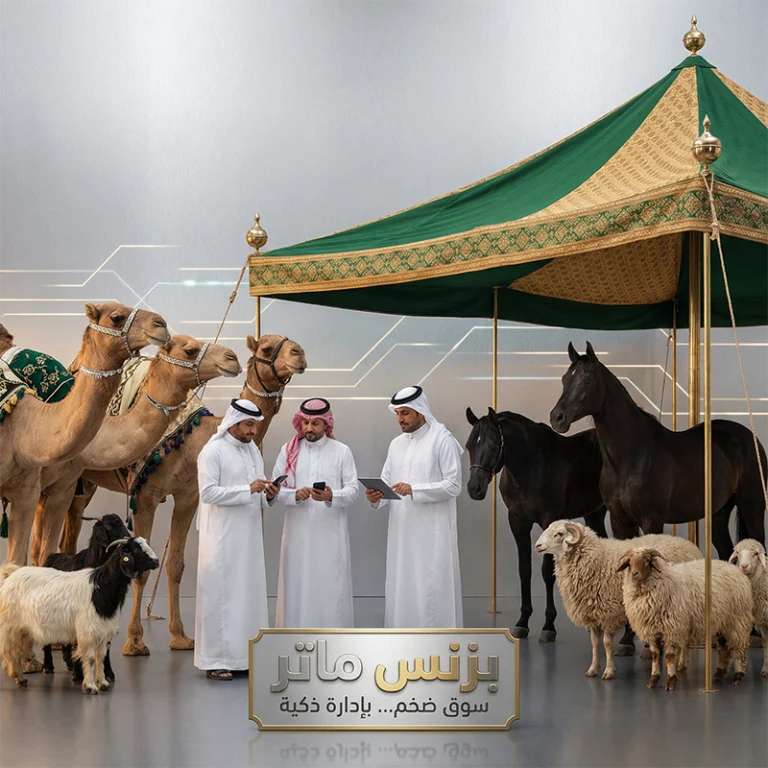 حراج الأنعام للتسويق